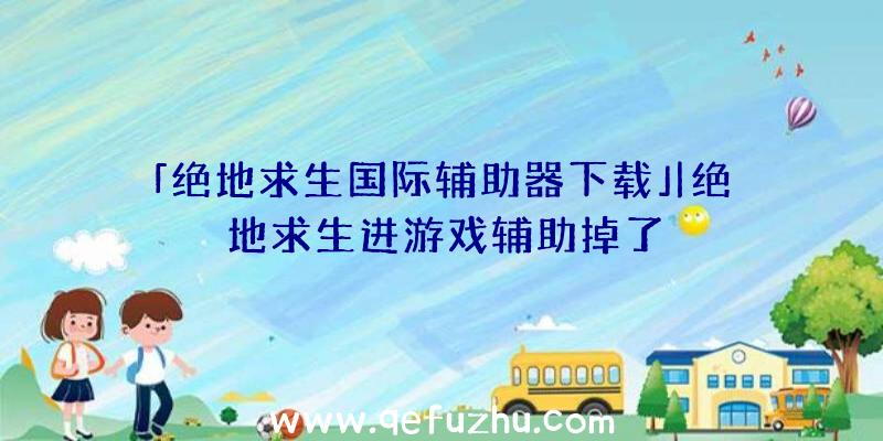 「绝地求生国际辅助器下载」|绝地求生进游戏辅助掉了